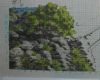 SAM_2439.thumb.JPG.9d4d25b7039aa8d8ebbe6