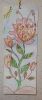 SAM_6979.thumb.JPG.61cbd19600f1e730ad92c