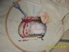 SDC17205.JPG.a60e6dafcfaa442b3ae8eabc6d3
