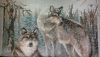 WIN_20160318_213521.thumb.JPG.cdaba01014