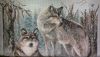 WIN_20160323_203113.thumb.JPG.b2a9bc2a10