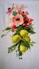 WP_20160209_06_57_00_Pro.jpg