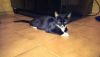 WP_20160302_00920160302184341.thumb.jpg.