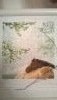 WP_20160308_001.jpg
