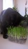 WP_20160322_12_45_11_Pro.thumb.jpg.9c4e4