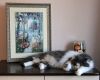 _IMG_4639.thumb.jpg.195d3023cf1d7967d5df