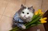 dX9qC.thumb.jpg.7220c971224763a99093e6c0