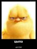 fdmyd12jcuo.thumb.jpg.005af86cacf515c050