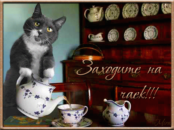 foto.thumb.jpg.c203fb2019b0550c1da1dd460