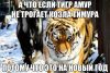 hv2VXErUb6I.thumb.jpg.fa1e0323a13e6a6dd6