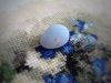 image.thumb.jpeg.f7d2816e9ff19263c3480e4