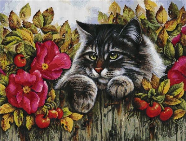 Аватар Zinko mila
