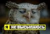 ns.thumb.jpg.ae4c7873654d49c9a72309859ad