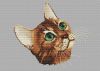 p6DNCwVJR6Y.thumb.jpg.759cc626e55c053da9