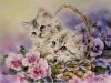 r9oyss2iAv4.thumb.jpg.7a96020d895f3c1b53