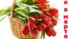 s8marta43.thumb.jpg.df0678b45a5c5fcd3d2e