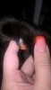 03000da5.thumb.jpg.4dc12247af46a516ad1b7