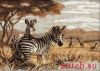 Риолис (Сотвори Сама) 1143, Зебры в саванне