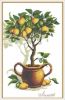 20100317-limon.jpg