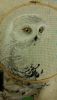 20160207_230648.jpg