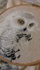 20160213_183954.jpg