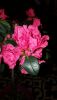 20160215_103053.jpg