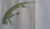 20160317_122802.thumb.jpg.a93f1189af33b2