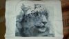 20160403_120700.thumb.jpg.e04a984a2d860d