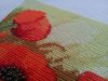 20160404_073427.jpg
