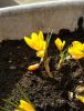 20160406_165603.jpg