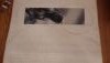 20160407_234332.thumb.jpg.2b9dba0941a1c1