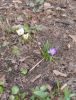 20160409_113821.jpg
