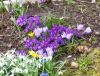20160409_115834.jpg