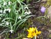20160409_115839.jpg