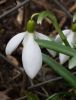 20160409_115857.jpg