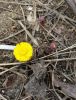 20160409_130141.jpg