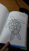 20160413_194344.jpg
