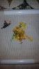 20160414_223721.thumb.jpg.a473cc40557dd9