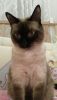 20160420_232111_LLS.jpg
