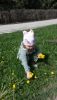 20160422_114716.jpg