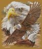 402728-c937e-93886401-m750x740-u541e3.th