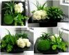 56feec644d5a9_31.thumb.jpg.ef88627dcae35