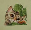 57002de11c26f_-026-7-1.thumb.JPG.a2466c3