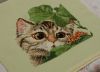 57002de170abe_-026-7-2.thumb.JPG.35ffb96