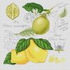лимон.jpg