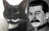 кот-Сталин-гитлер-песочница-2407207.jpeg