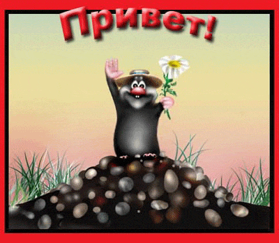 5672_66.1100610349.24771[1].gif