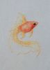 И.Пешкова - Золотая рыбка 5.JPG