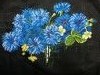 571a914ec86ed_IMG_20161.thumb.JPG.7a492d