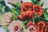 Butterfly-264-Окно в лето 6-5.JPG